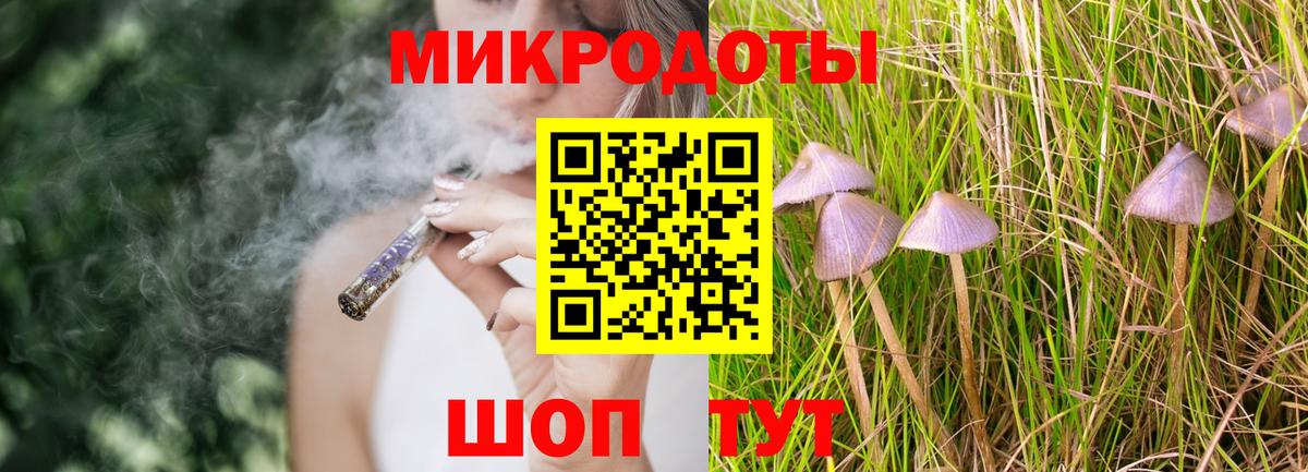 Псилоцибиновые грибы Psilocybine cubensis  Вход с VPN  Брянск 